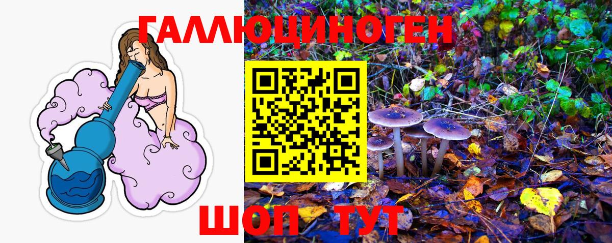 Галлюциногенные грибы ЛСД Отрадный