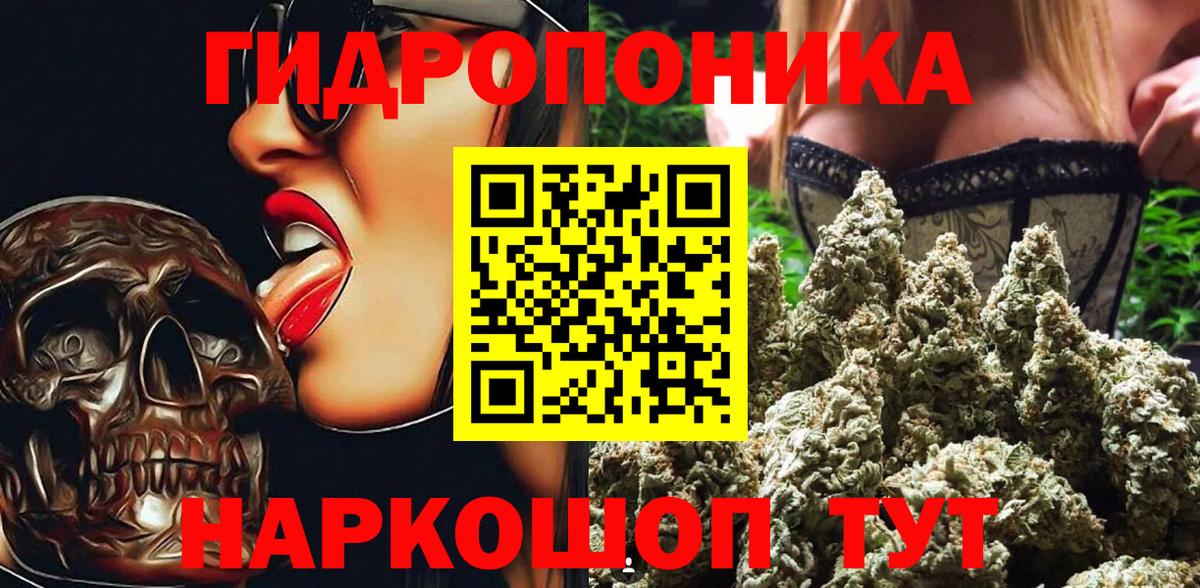 Марихуана Ganja  Вход с VPN  Бошки марихуана план  Отрадный  Бошки марихуана White Widow  Конопля тримм 